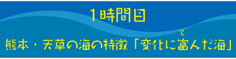 熊本・天草の海の特徴「変化に富んだ海」