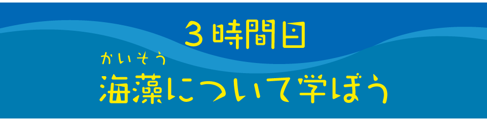 海藻について学ぼう