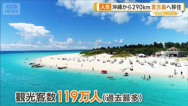 メイン記事画像