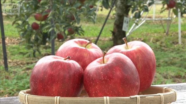 メイン記事画像