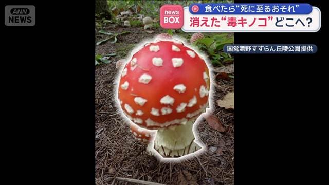 メイン記事画像