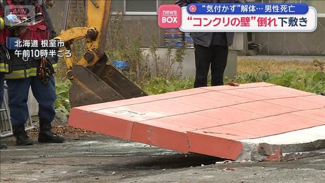 メイン記事画像