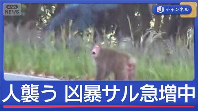 メイン記事画像