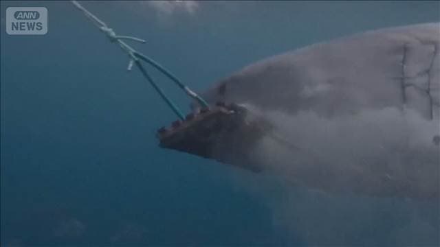 メイン記事画像