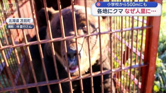 メイン記事画像