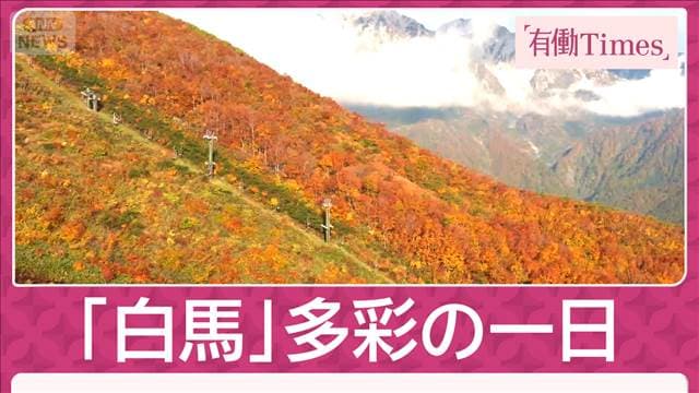 メイン記事画像