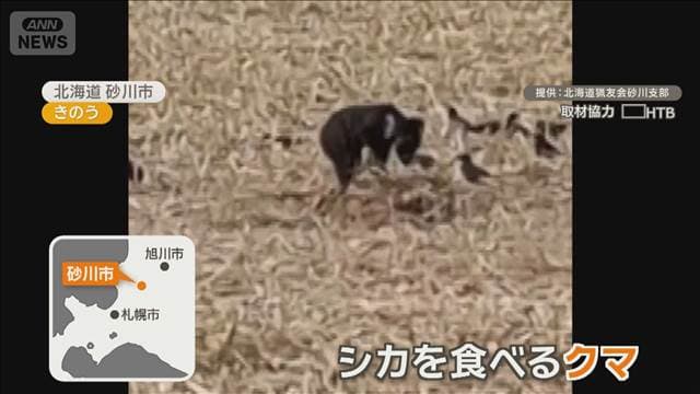 メイン記事画像