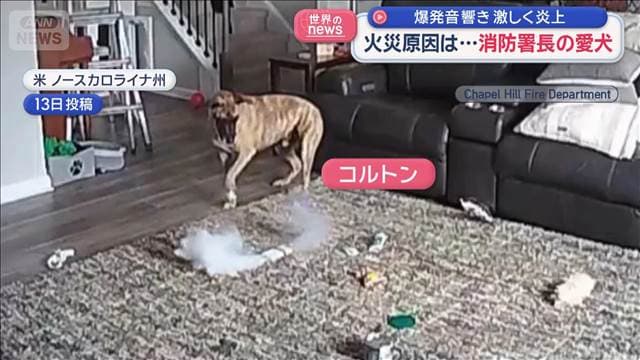 メイン記事画像