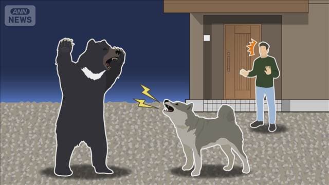 メイン記事画像