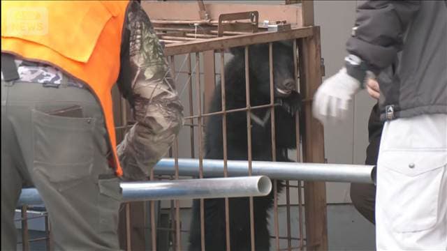 メイン記事画像