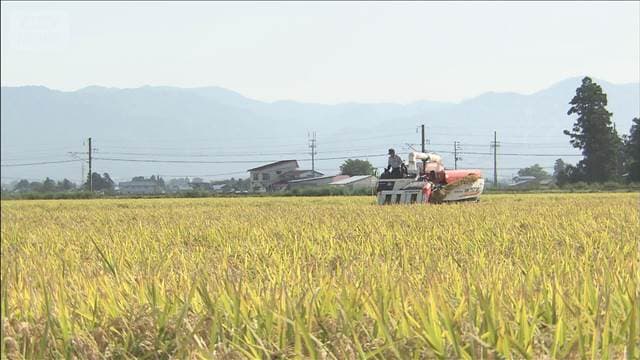 メイン記事画像