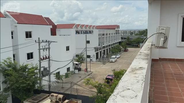 メイン記事画像