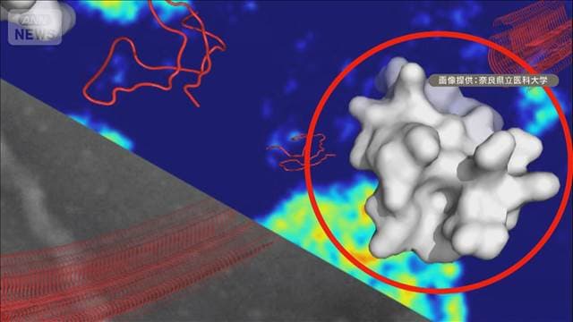 メイン記事画像