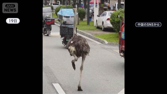 メイン記事画像