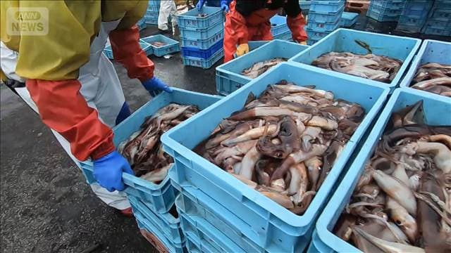 メイン記事画像