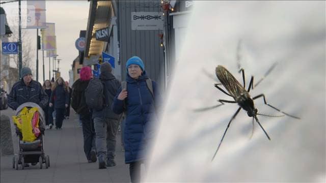 メイン記事画像