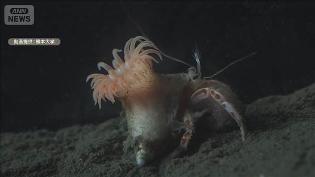 メイン記事画像