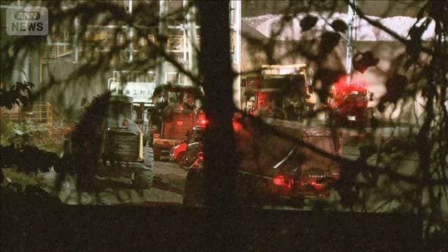 メイン記事画像