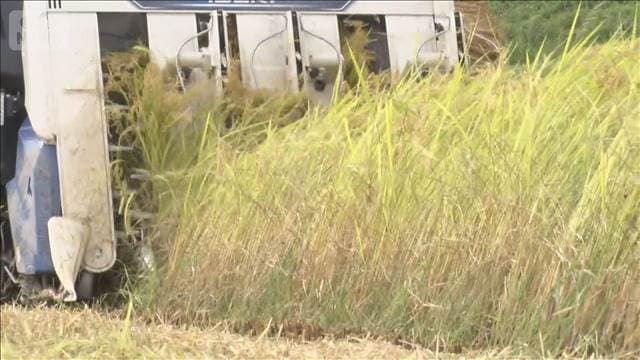 メイン記事画像