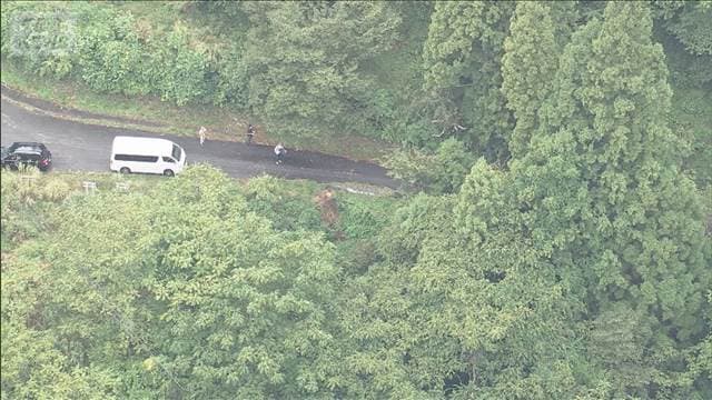 メイン記事画像