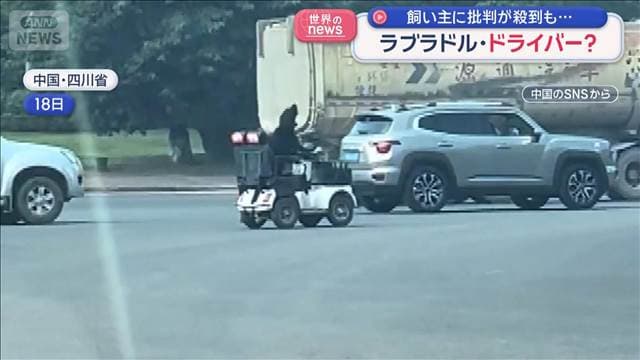 メイン記事画像