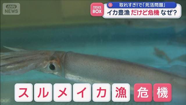 メイン記事画像