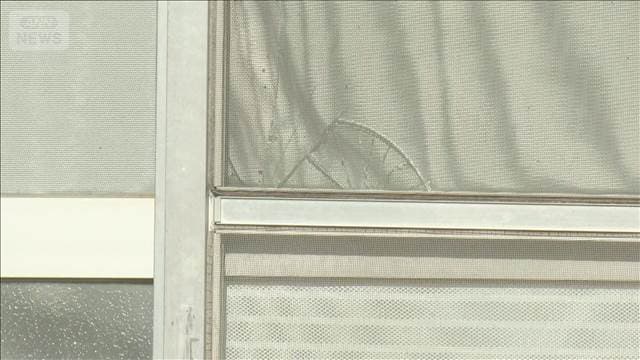 メイン記事画像