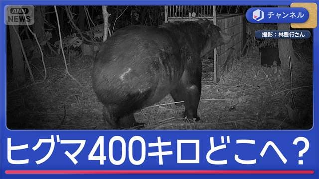 メイン記事画像