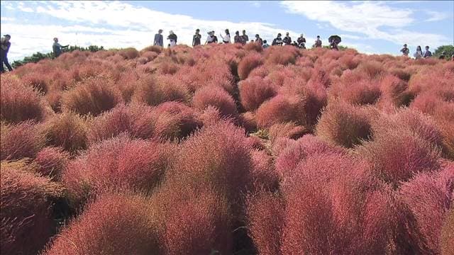 メイン記事画像