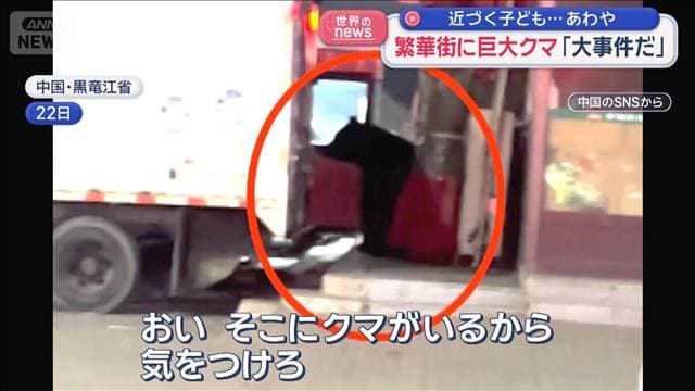 メイン記事画像