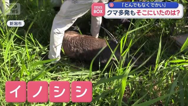 メイン記事画像