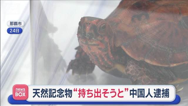 メイン記事画像