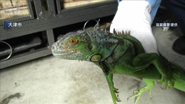 メイン記事画像