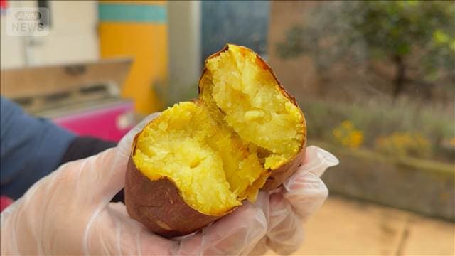 メイン記事画像