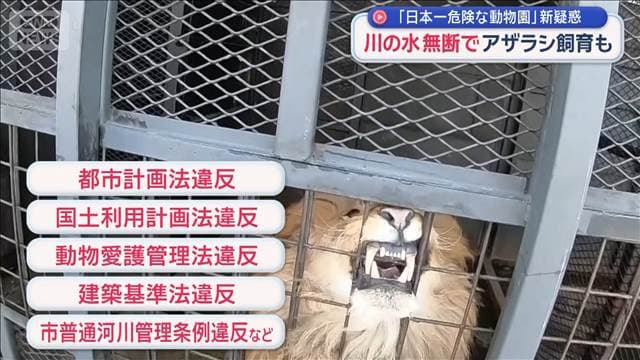 メイン記事画像