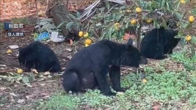 メイン記事画像