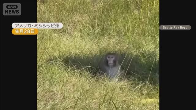 メイン記事画像