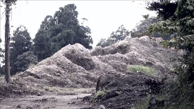 メイン記事画像