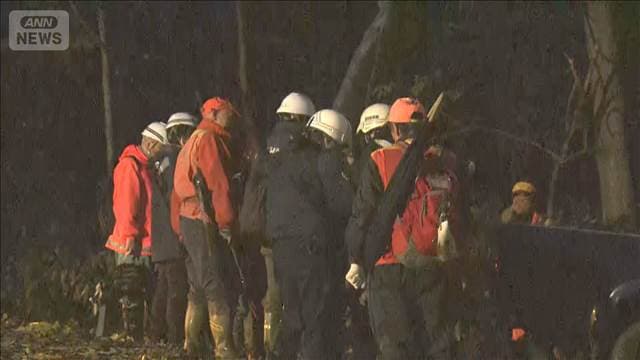 メイン記事画像