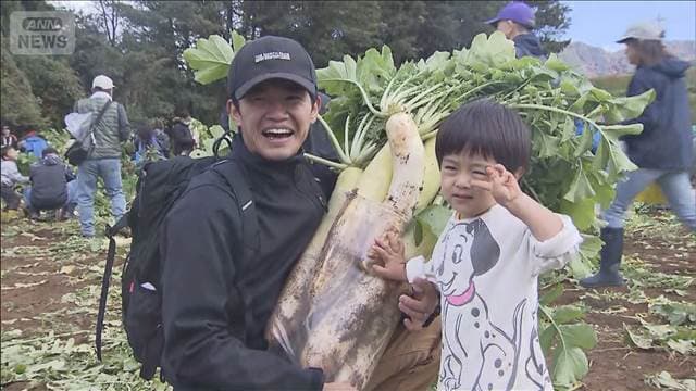 メイン記事画像