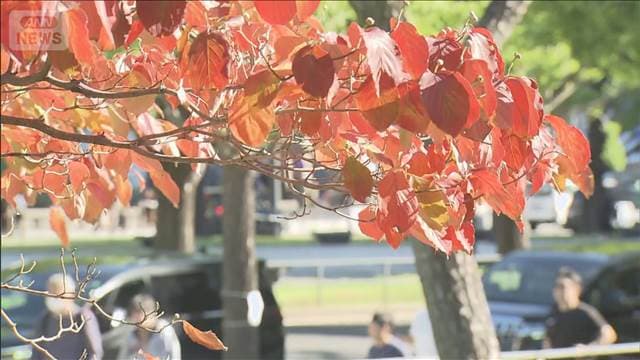 メイン記事画像