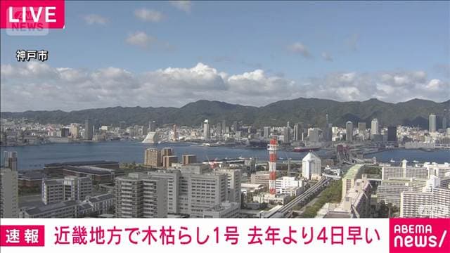 メイン記事画像