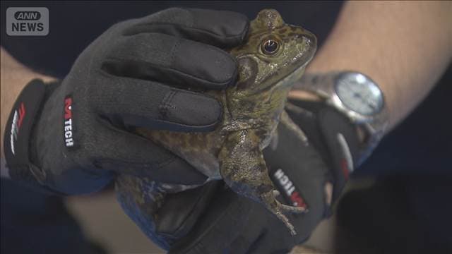 メイン記事画像