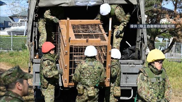 メイン記事画像