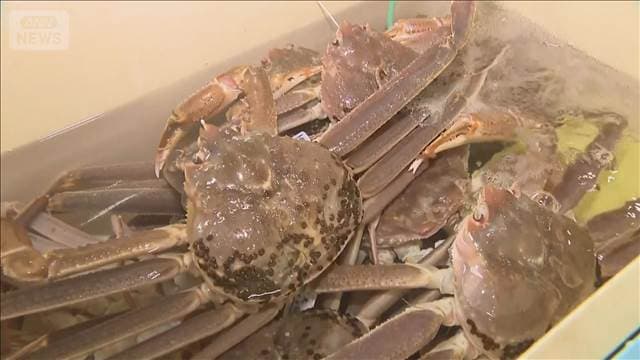 メイン記事画像