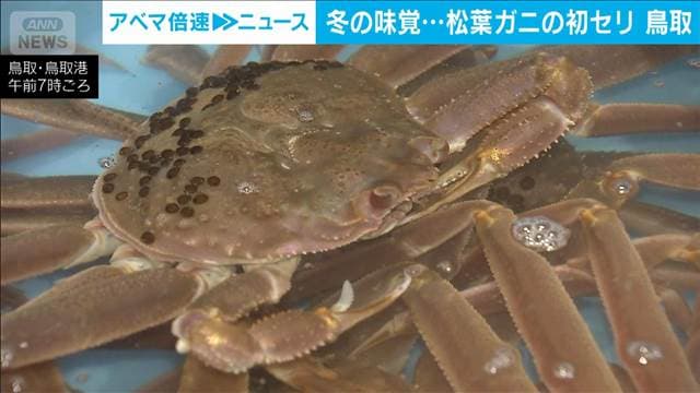 メイン記事画像