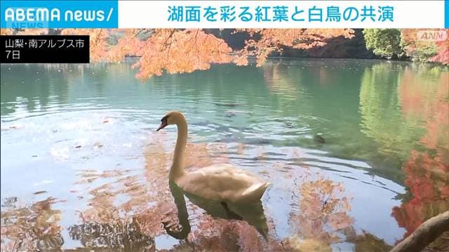 メイン記事画像