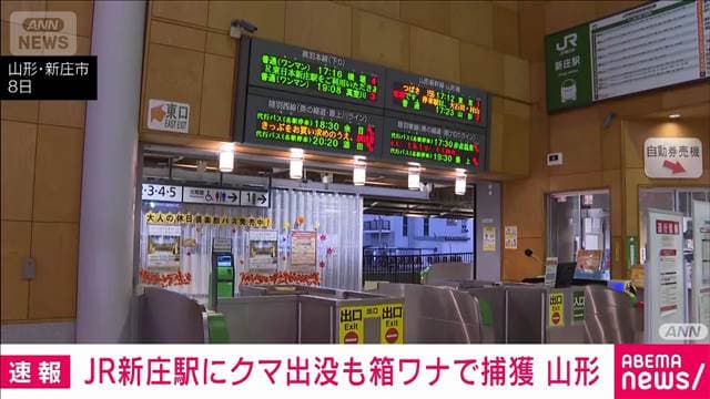 メイン記事画像