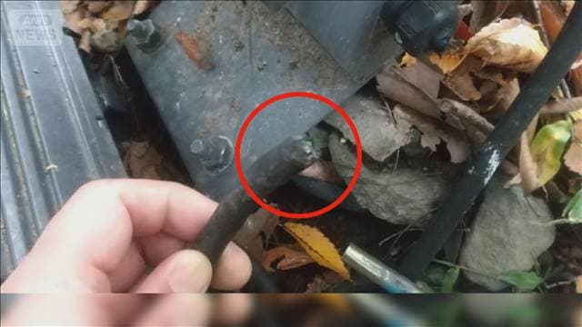 メイン記事画像