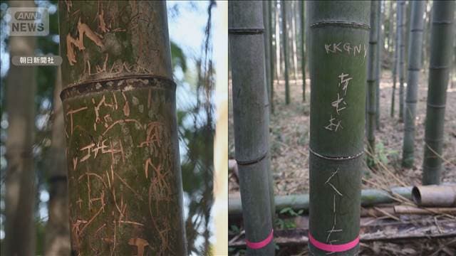 メイン記事画像